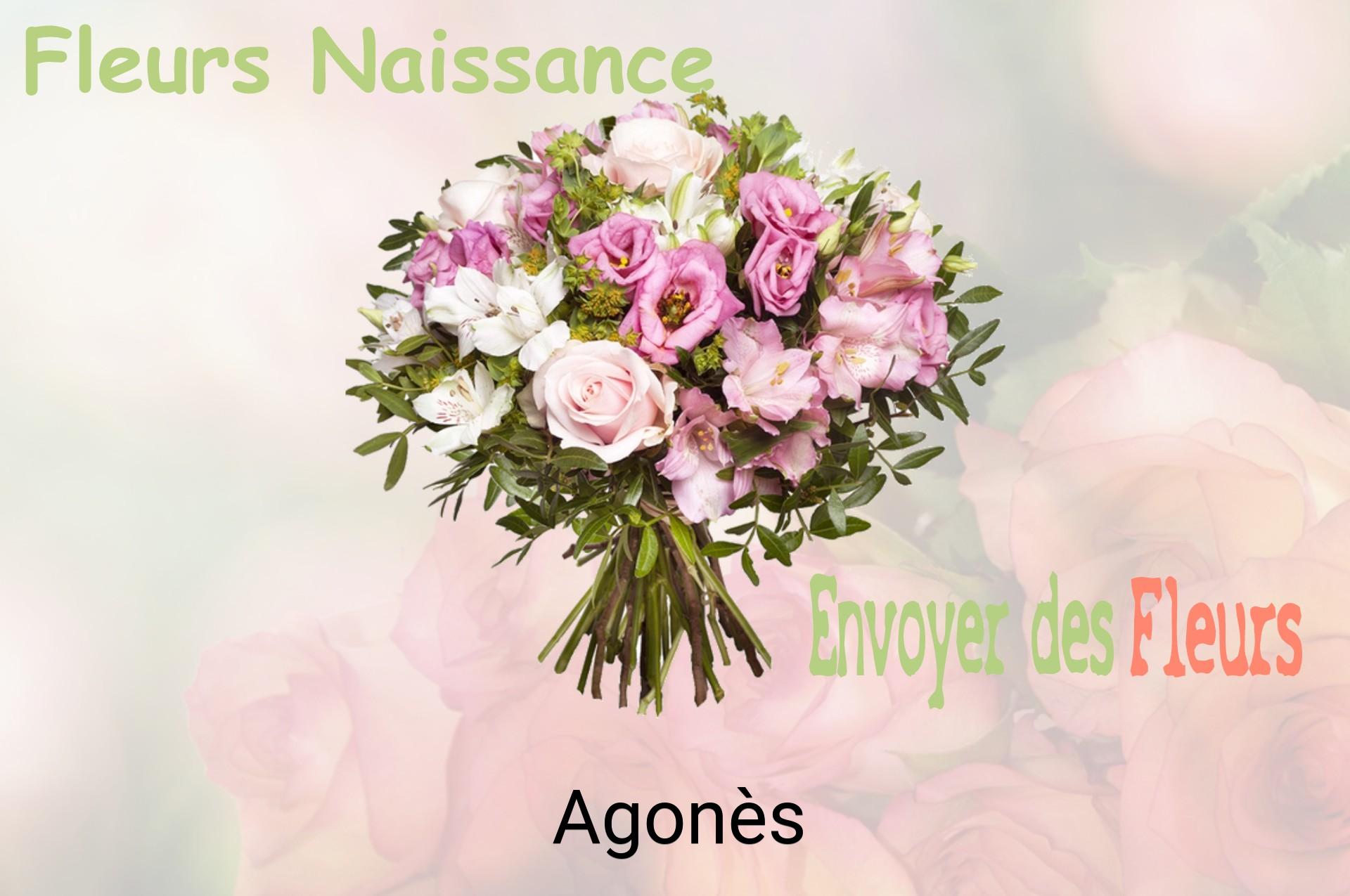 Bouquet de fleurs de naissance livré à Agonès